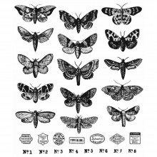 Tim Holtz® Stampers Anonymous Cling Mount Sets -- Moth Study CMS436