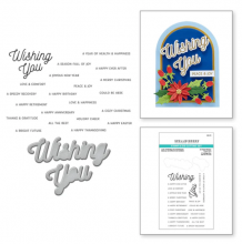 Lots of Wishing You Sentiments Clear Stamp & Die Set SDS-176