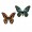 Tim Holtz® Alterations | Sizzix Thinlits™ Die Set 4-Pack - Detailed Butterflies: Mini