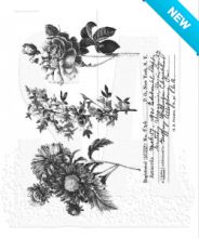 Tim Holtz® Stampers Anonymous Cling Mount Sets -- Flower Shop CMS401