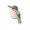 Memory Box Die - Layered Hummingbird 94755