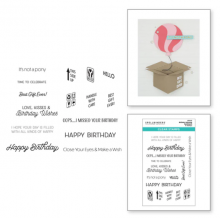 Birthday Unboxing Sentiments Clear Stamp Set STP-117