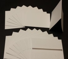 Cougar Opaque Mini Card/Envelope Packs