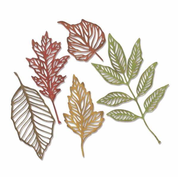 Tim Holtz® Alterations | Sizzix Thinlits™ Die Set 5-Pack - Skeleton Leaves