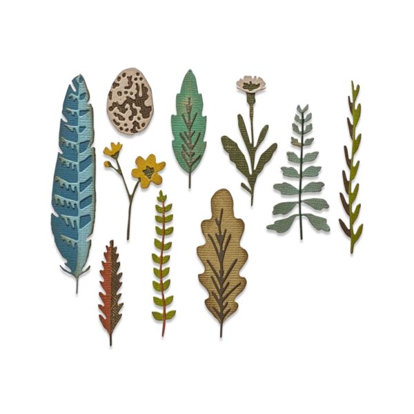 Tim Holtz® Alterations | Sizzix Thinlits™ Die Set 10-Pack - Funky Nature