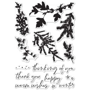 Open Studio Clear Stamp Set - Winter Greenery CL5235