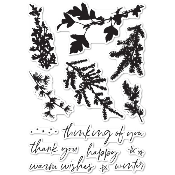 Open Studio Clear Stamp Set - Winter Greenery CL5235