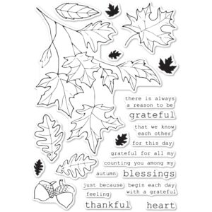 Open Studio Clear Stamp Set - Grateful Autumn CL5243