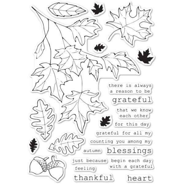 Open Studio Clear Stamp Set - Grateful Autumn CL5243