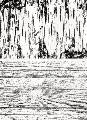 Tim Holtz® Stampers Anonymous Cling Mount Sets -- Birch & Pine CMS280