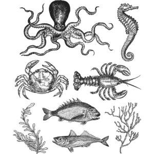 Tim Holtz® Stampers Anonymous Cling Mount Sets -- Sea Life CMS304