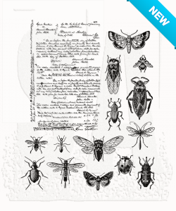 Tim Holtz® Stampers Anonymous Cling Mount Sets -- Entomology CMS328