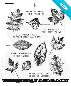 Tim Holtz® Stampers Anonymous Cling Mount Sets -- Nature's Wonder CMS343