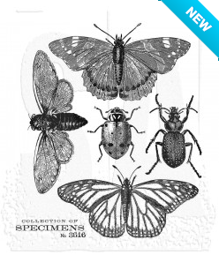 Tim Holtz® Stampers Anonymous Cling Mount Sets -- Specimen CMS410