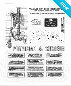 Tim Holtz® Stampers Anonymous Cling Mount Sets -- Examination CMS412