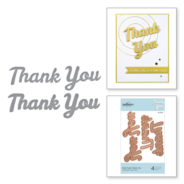 Bold Type Thank You S3-392