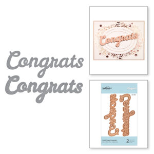 Bold Type Congrats S3-394