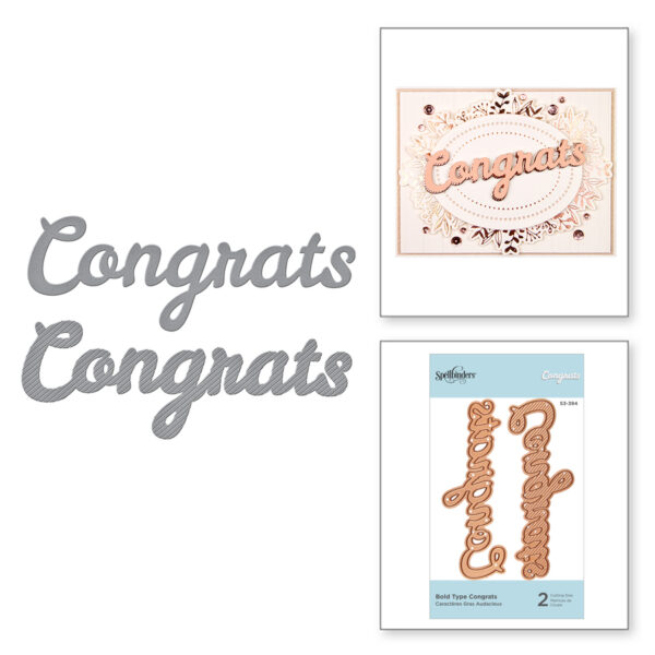 Bold Type Congrats S3-394