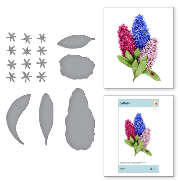 Hyacinth S4-1083