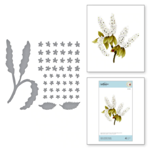 Spirea (Bridal Wreath) S4-1084