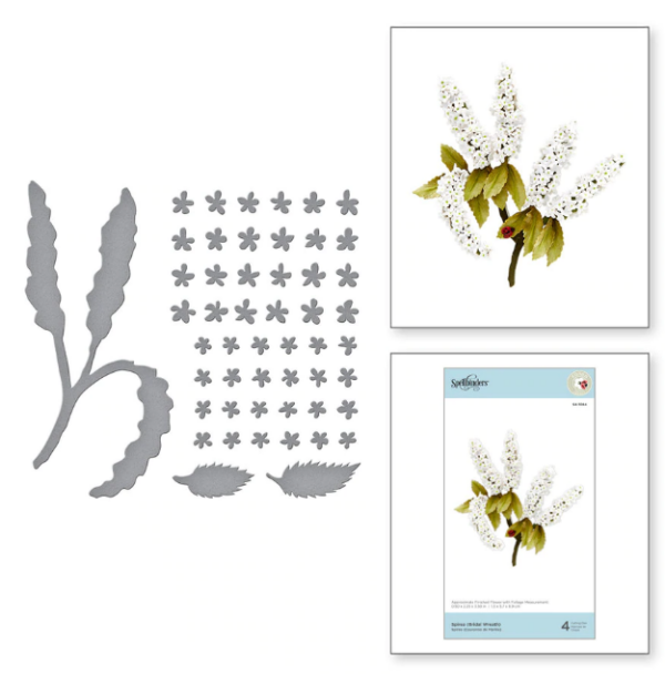 Spirea (Bridal Wreath) S4-1084
