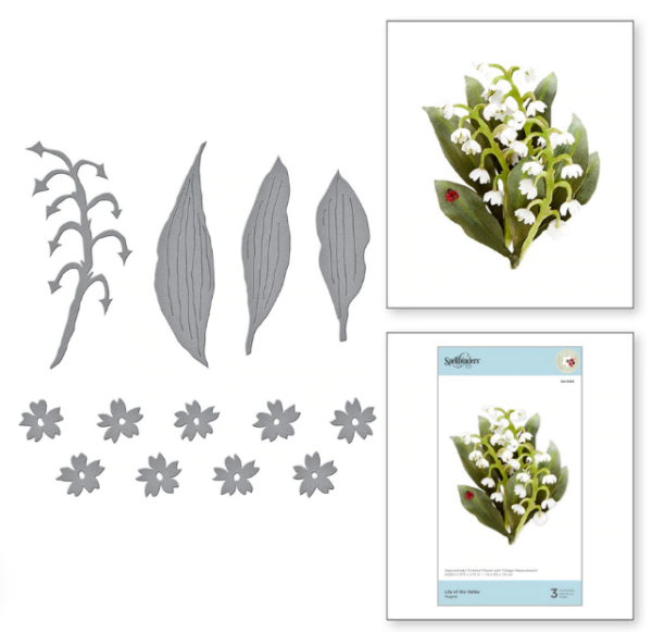 Lily of the Valley S4-1085