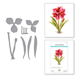 Amaryllis Etched Dies S4-1110