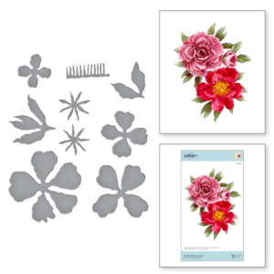 Double & Single Peonies S6-169