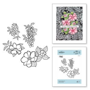 Peonies Blossoms SBS-182
