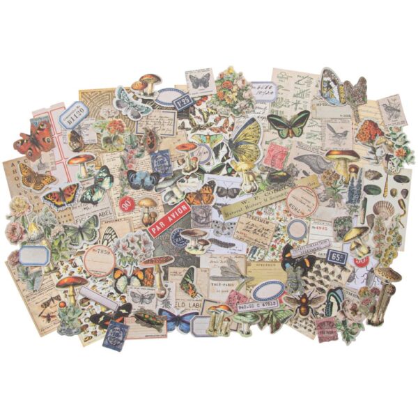 Tim Holtz® Idea-ology™ Paperie - Ephemera Pack Field Notes Snippets
