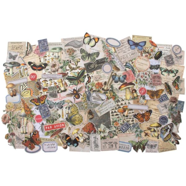 Tim Holtz® Idea-ology™ Paperie - Ephemera Pack Field Notes