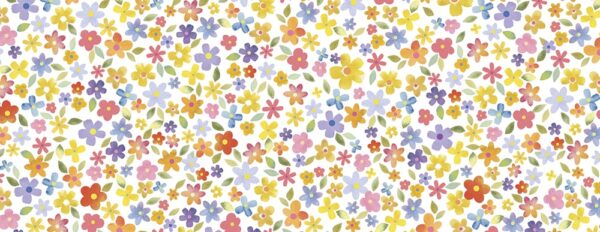 Memory Box Cornelia Variegated Wide Washi Tape WT504