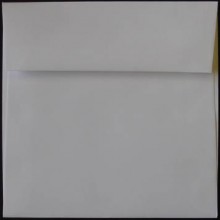 Cougar Opaque Square Envelopes - White & Natural