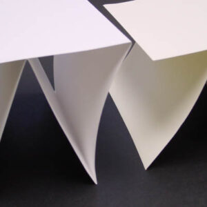 Cougar Opaque Quadfolded Announcement Cards