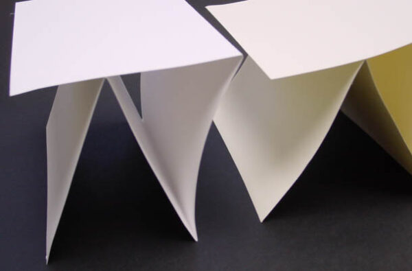Cougar Opaque Quadfolded Announcement Cards