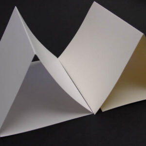 Cougar Opaque Trifolded Announcement Cards