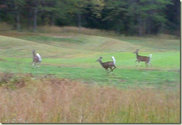 2010-10-05_09-56-42_204