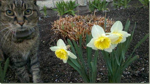 2011-03-22_07-48-48_257