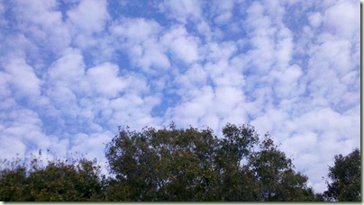 2012-02-10_09-13-13_658
