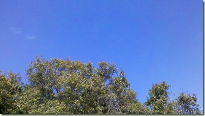 2012-02-10_12-47-23_865