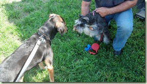 2012-09-12_14-41-00_760