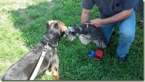 2012-09-12_14-41-03_181