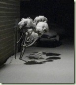 2013-03-06_03-15-59_475
