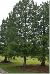 20160628_122839_resized
