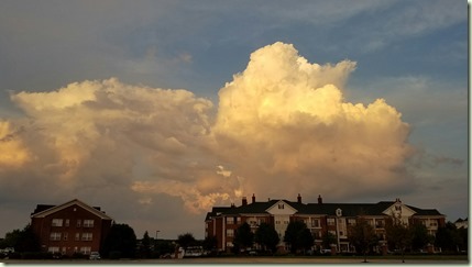 20160811_202600_resized