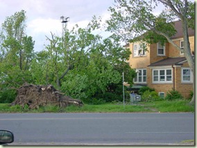 DSC01787