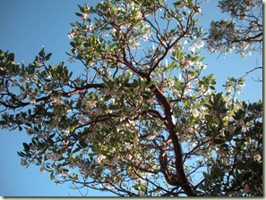 DSCN1951