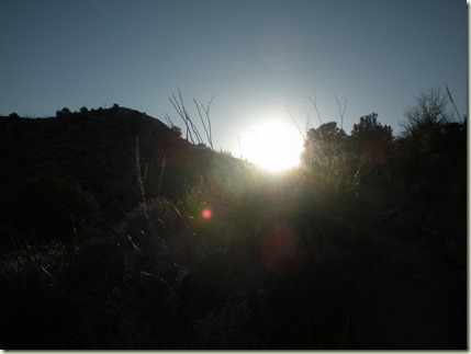 DSCN2540