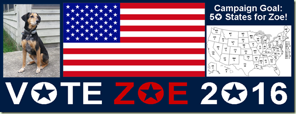 ZoeCoverPhoto