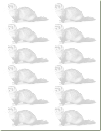 ferretpaper